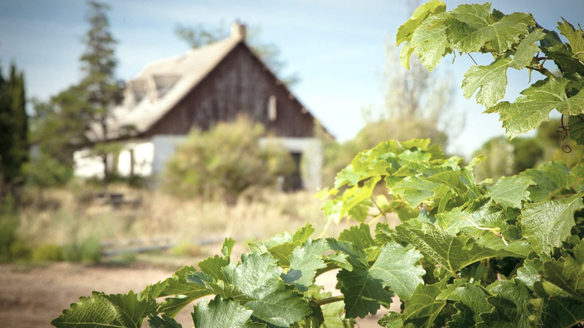 Sanz Wineries