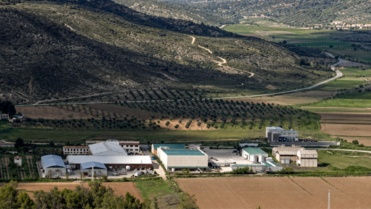 Bodegas Tagonius