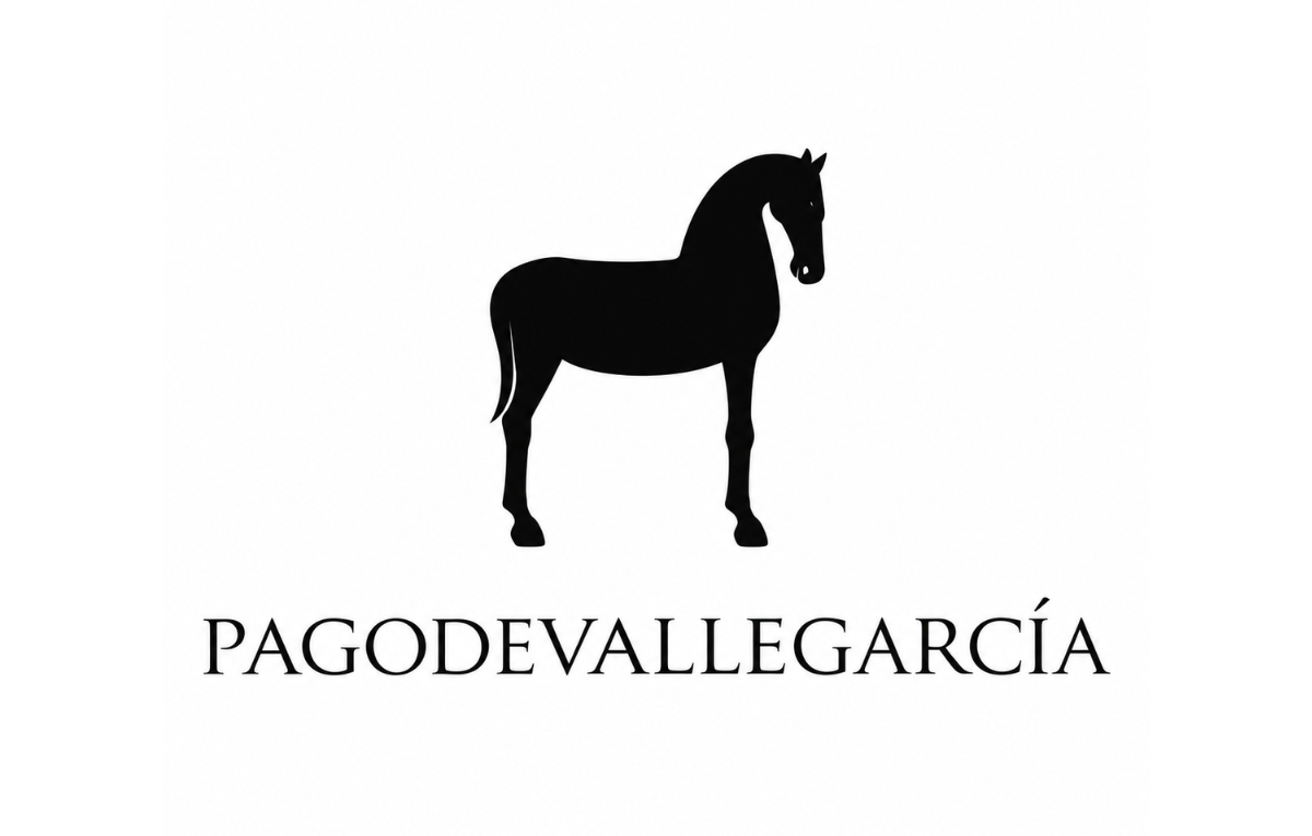 D.O. Platba Vallegarcia