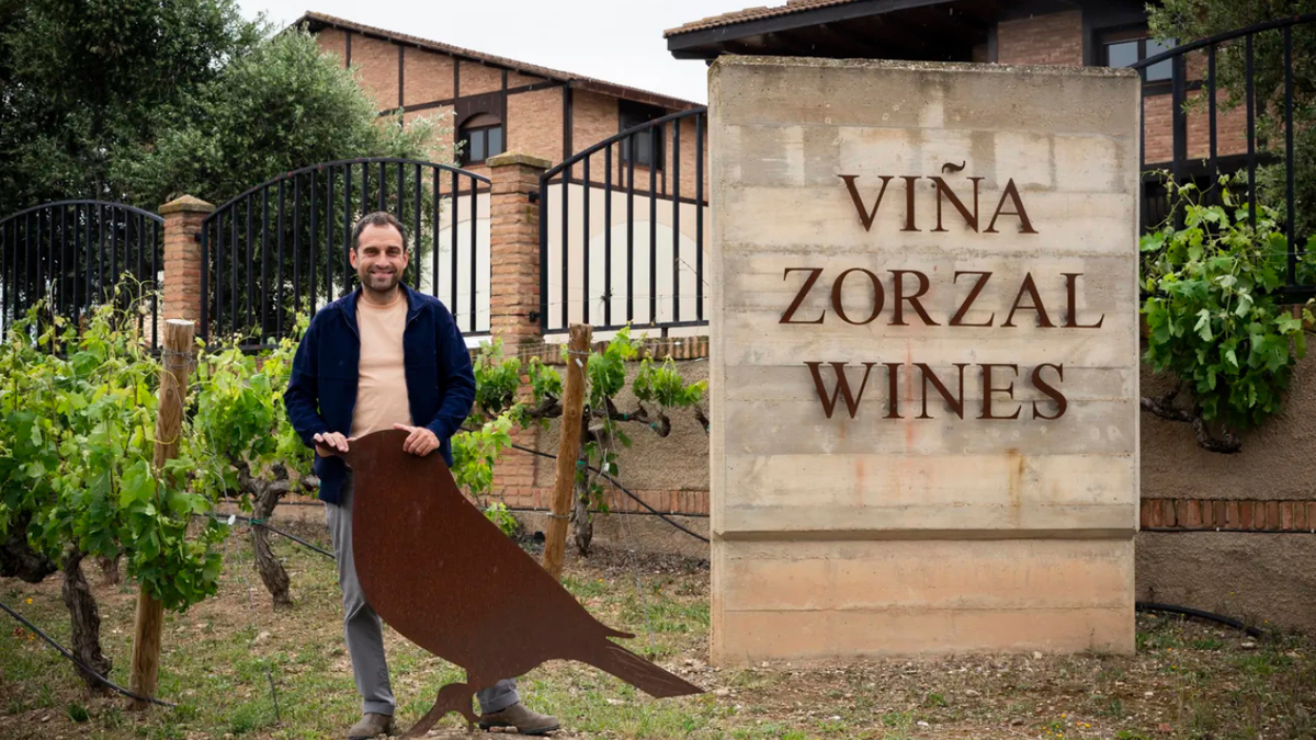 Vína Viña Zorzal