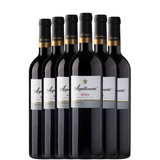 6 bottles of Azpilicueta Crianza 2021