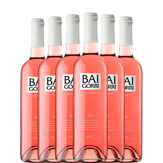 BAIGORRI Rosé 2024 x6 lahví