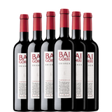 Šest lahví Baigorri Crianza 2021