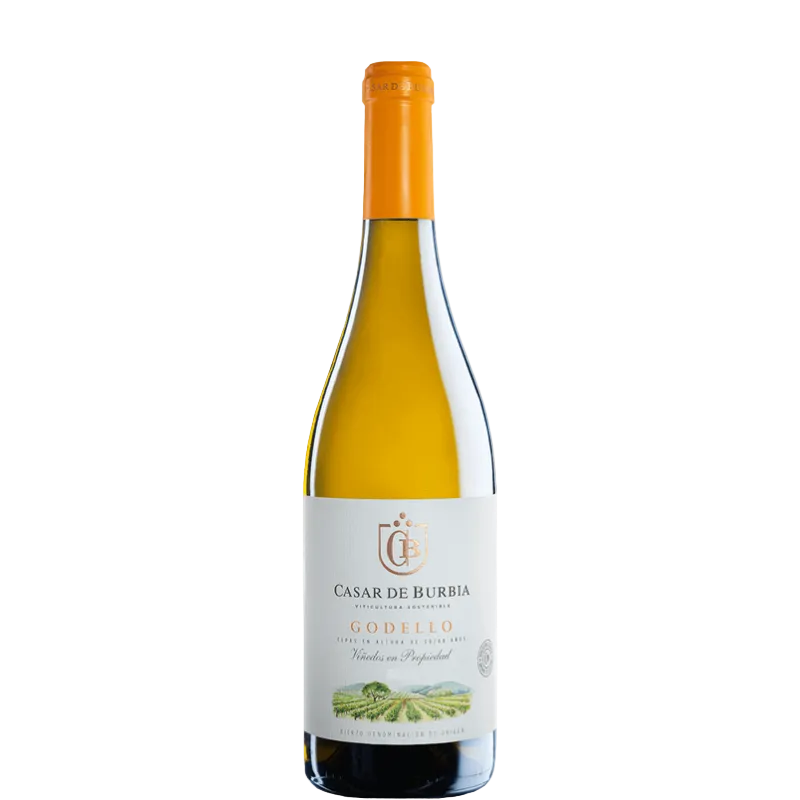 CASAR DE BURBIA Godello 2023