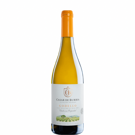 Láhev Casar de Burbia Godello 2023