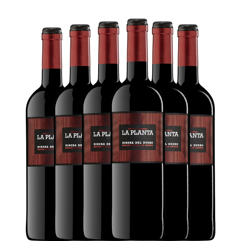 LA PLANTA 2024 x6 botellas