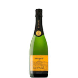 Láhev Llopart Integral Brut