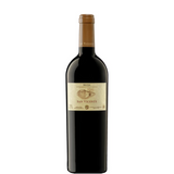 Láhev San Vicente Reserva 2021