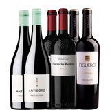Výběr Ribera del Duero