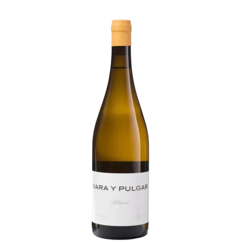 VARA Y PULGAR Blanco 2024